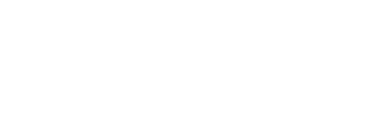 Logo SNTS